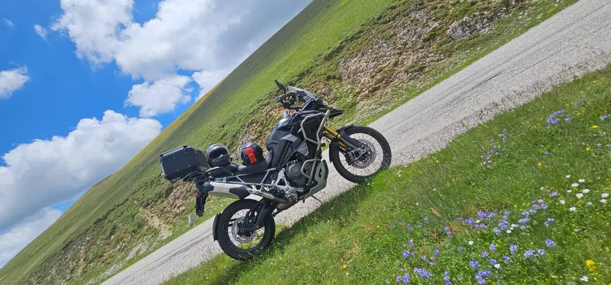 Triumph Tiger 1200 Rally Explorer (2024 - 26) (2)