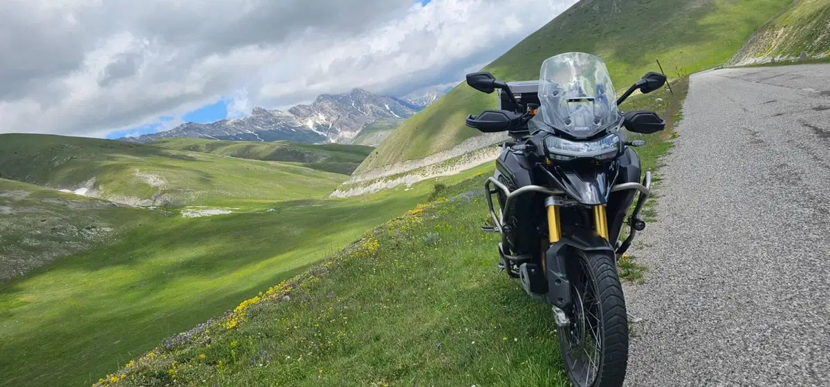 Triumph Tiger 1200 Rally Explorer (2024 - 26)