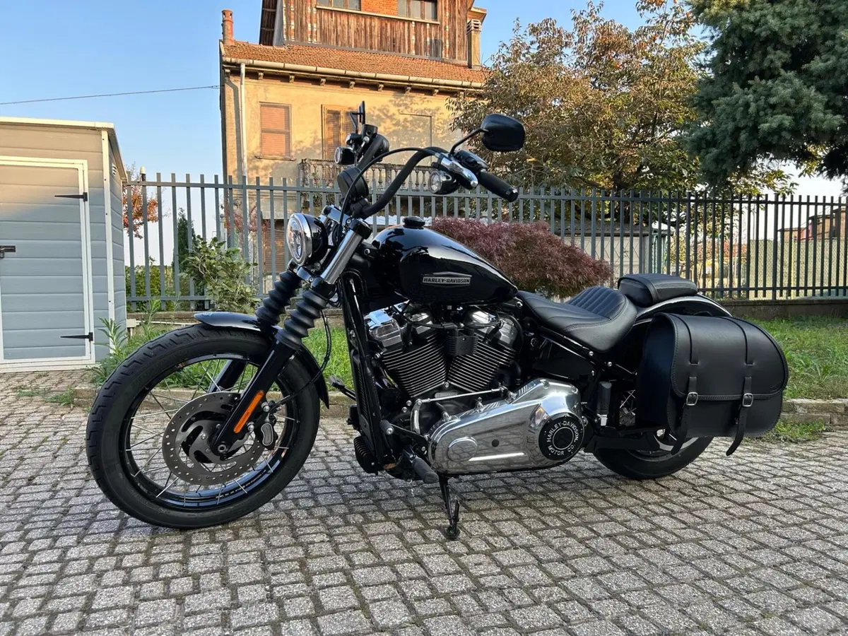 Harley-Davidson Street Bob 117 (2025 - 26)