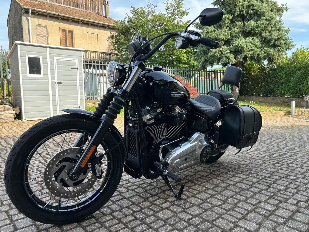 Harley-Davidson Street Bob 117 (2025 - 26) (2)