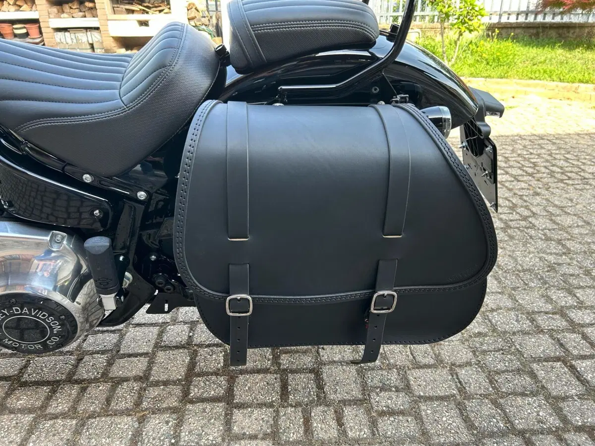 Harley-Davidson Street Bob 117 (2025 - 26) (3)