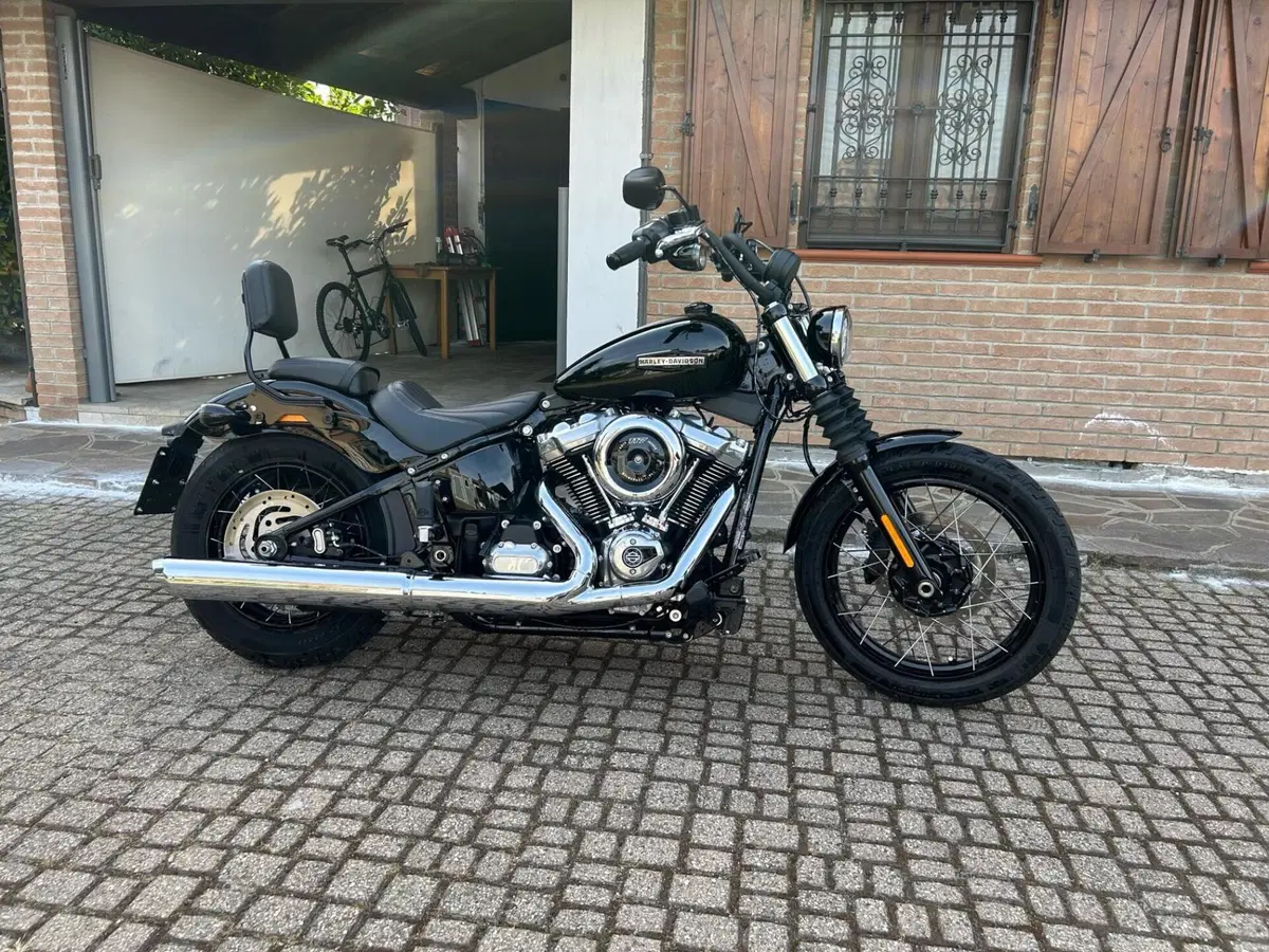Harley-Davidson Street Bob 117 (2025 - 26) (5)