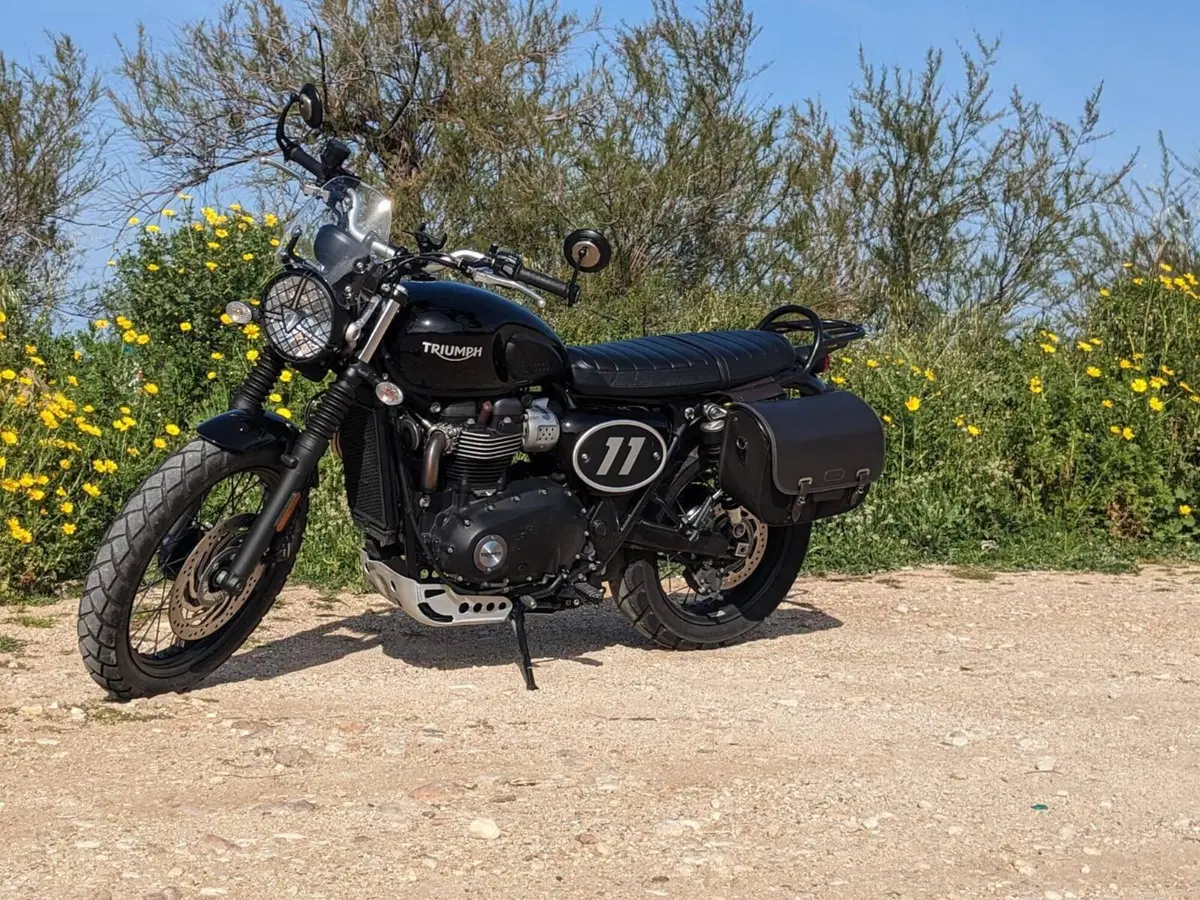 Triumph Street Scrambler 900 (2017 - 18) (4)