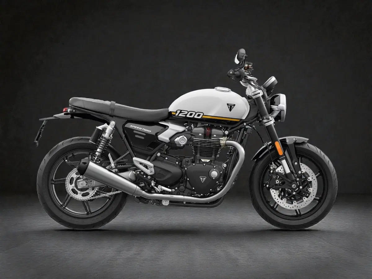 Triumph Speed Twin 1200 (2025 - 26) (3)