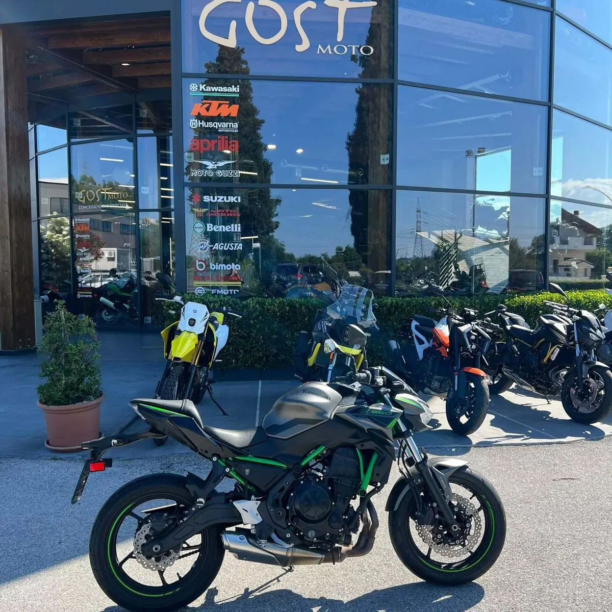 Kawasaki Z 650 (2025 - 26)
