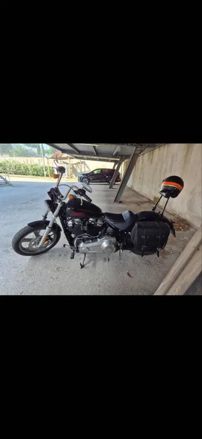 Harley-Davidson Softail Standard (2020) - FXST usata