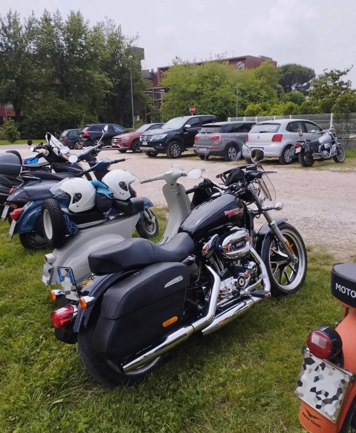 Harley-Davidson 1200 SuperLow (2014 - 16) - XL 1200T (4)