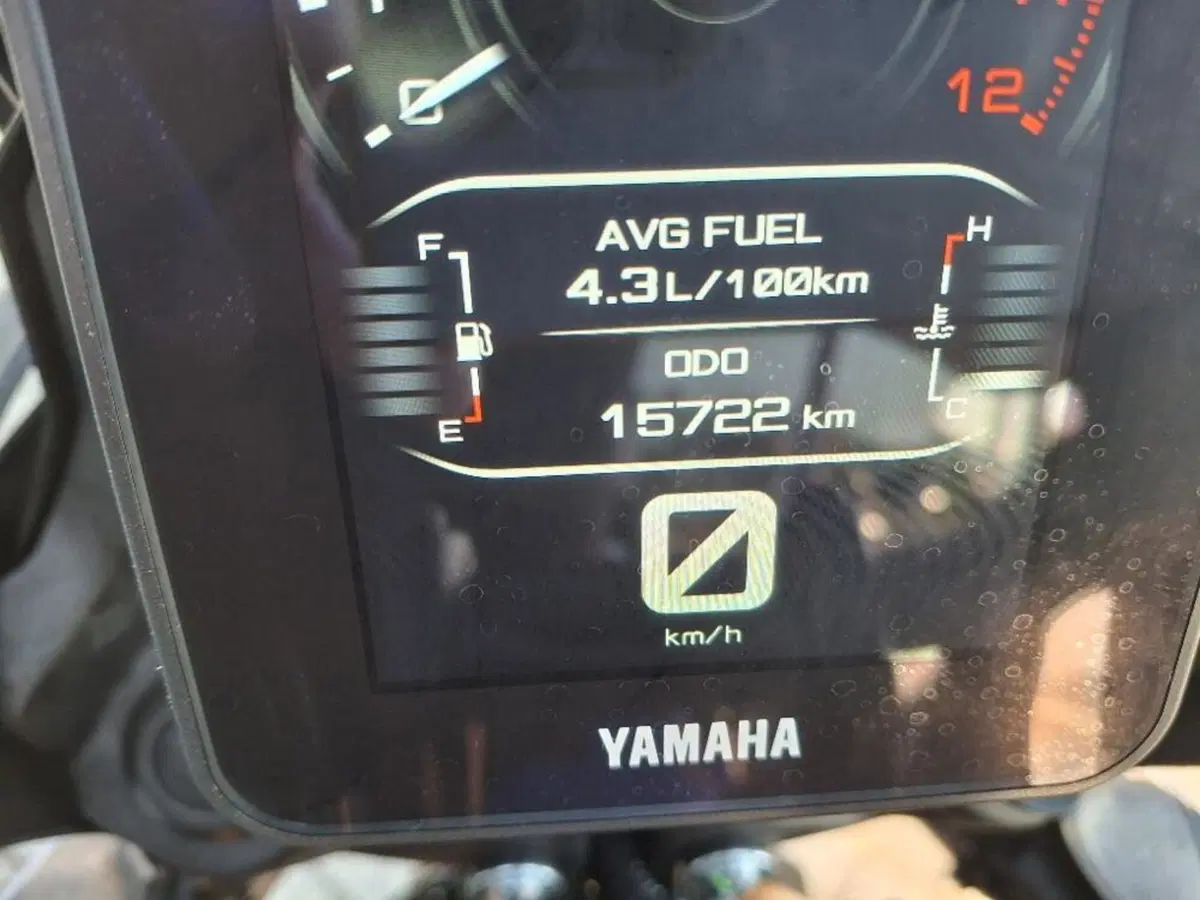 Yamaha Ténéré 700 World Raid (2022 - 25) (2)