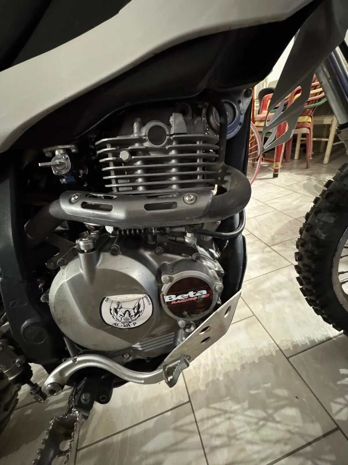 Betamotor Alp 4.0 (2008 - 17) (5)