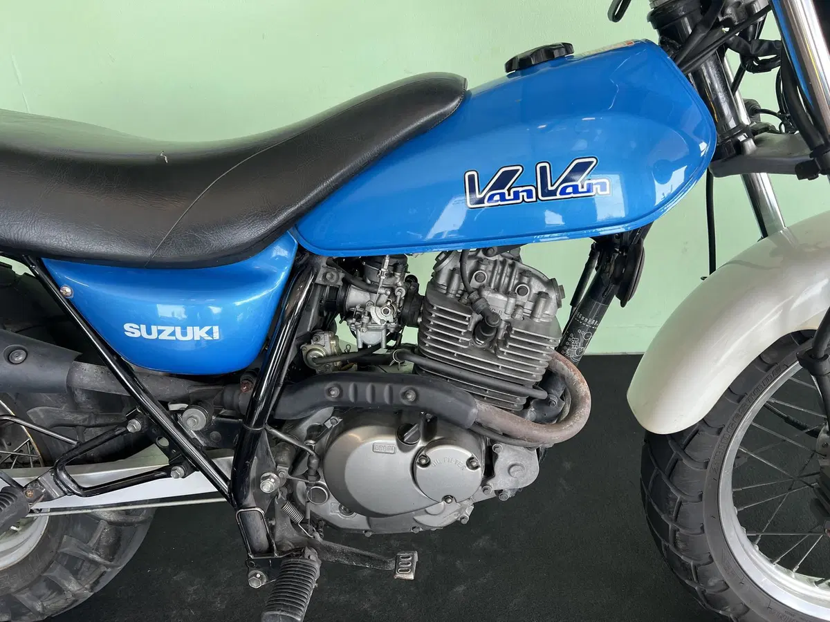 Suzuki Van Van RV 125 (2003 - 06) (10)