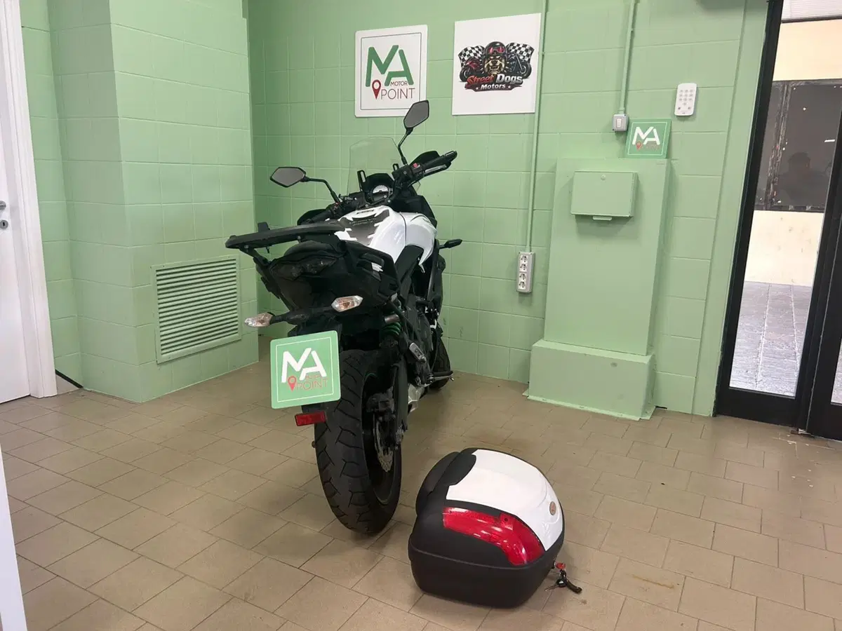 Kawasaki Versys 650 Grand Tourer (2017 - 20) (13)