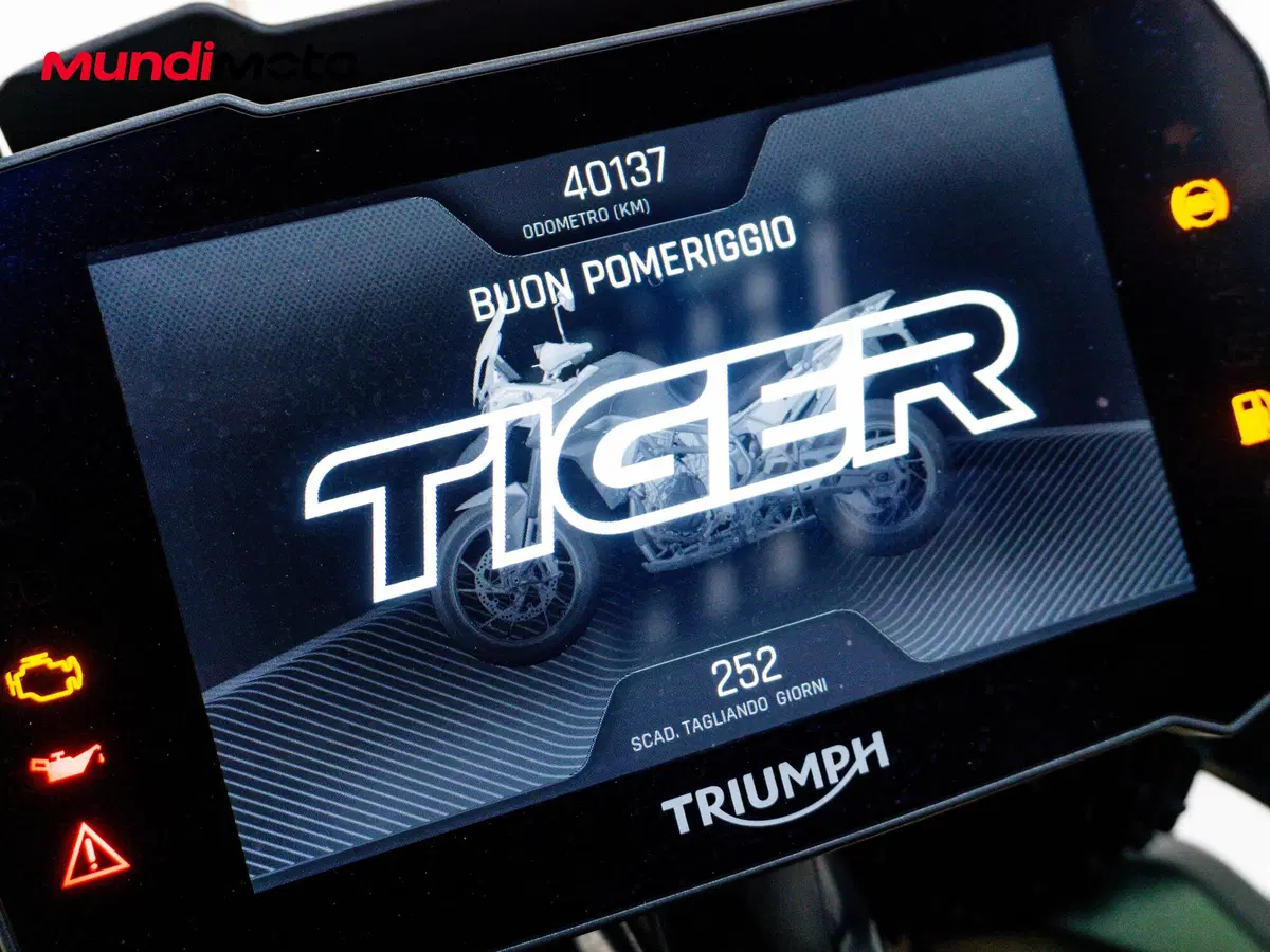 Triumph Tiger 900 Rally Pro (2020 - 23) (12)