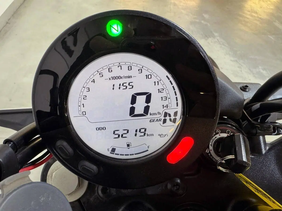 Kawasaki Eliminator 500 SE (2024 - 26) (14)