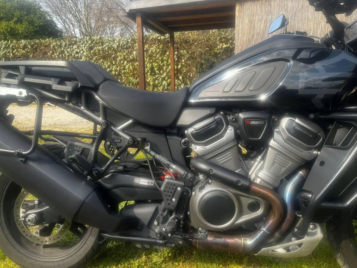 Harley-Davidson Pan America 1250 Special (2020 - 25) (2)