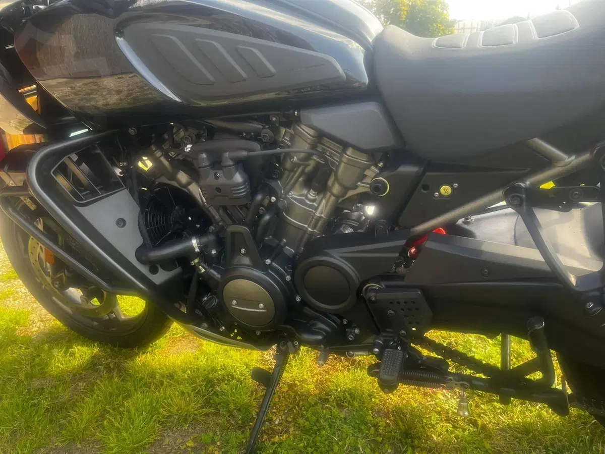 Harley-Davidson Pan America 1250 Special (2020 - 25) (3)