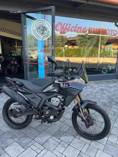 Morbidelli T125X (2025 - 26) nuova