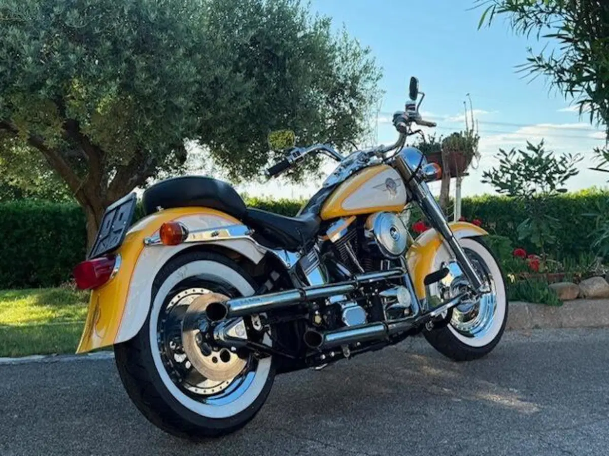 Harley-Davidson softail Fat Boy 1340 (2)