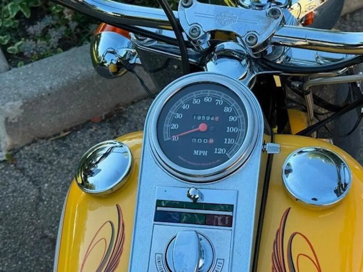 Harley-Davidson softail Fat Boy 1340 (3)