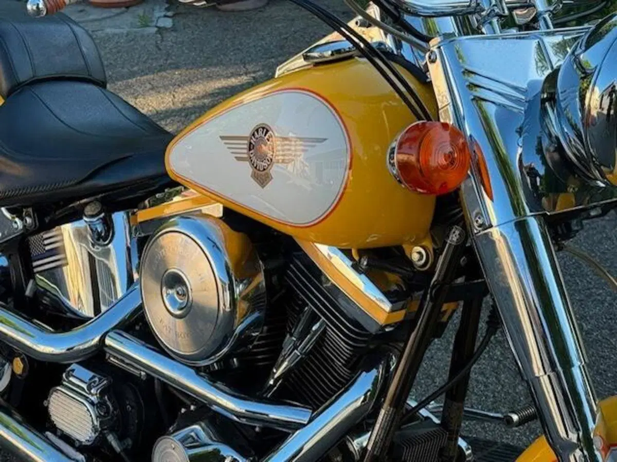 Harley-Davidson softail Fat Boy 1340 (5)