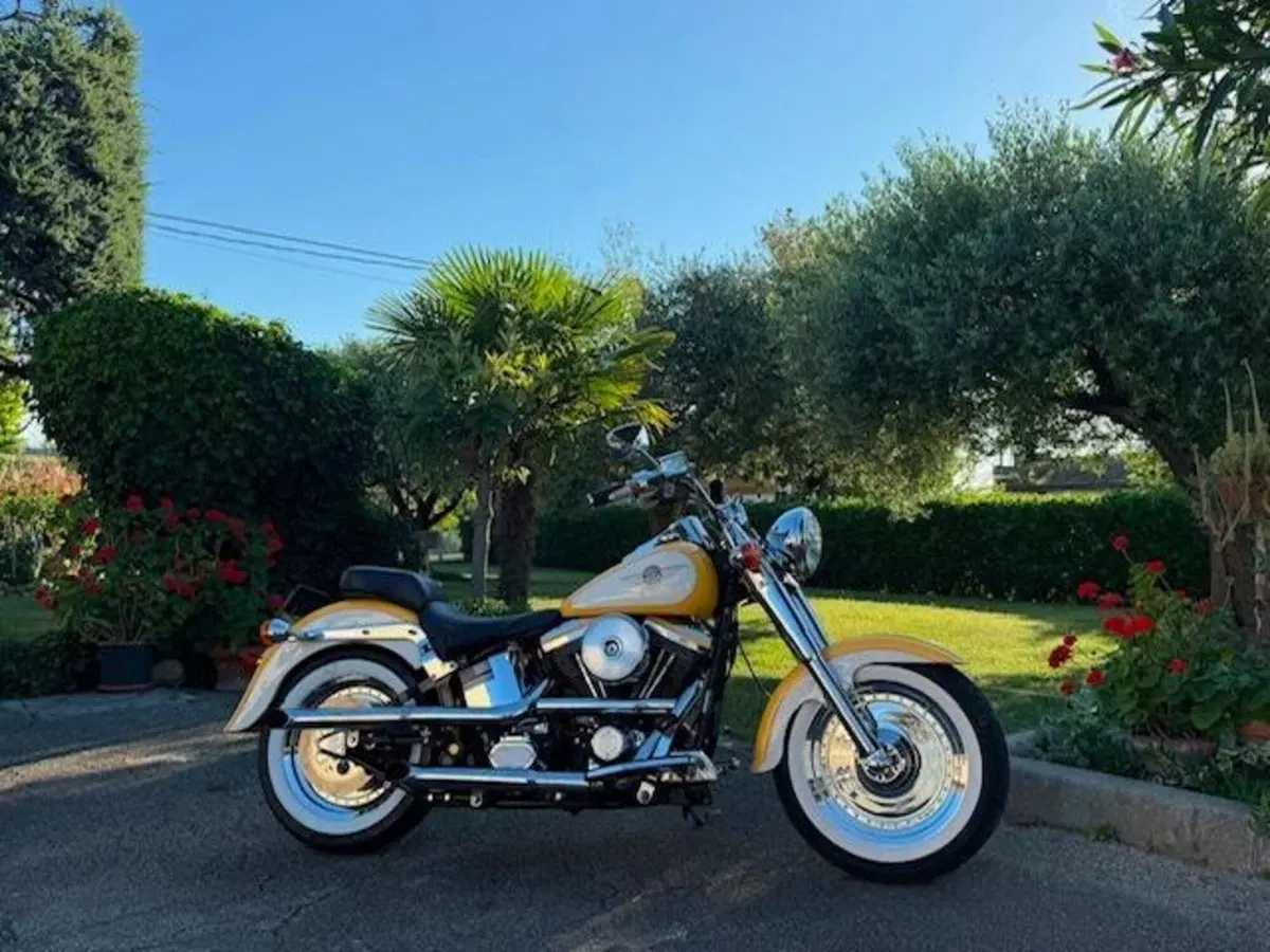Harley-Davidson softail Fat Boy 1340 (6)