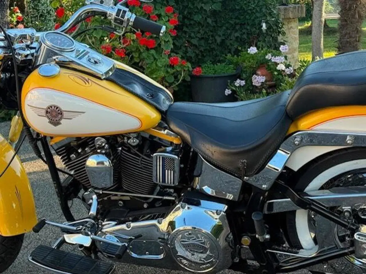 Harley-Davidson softail Fat Boy 1340 (7)