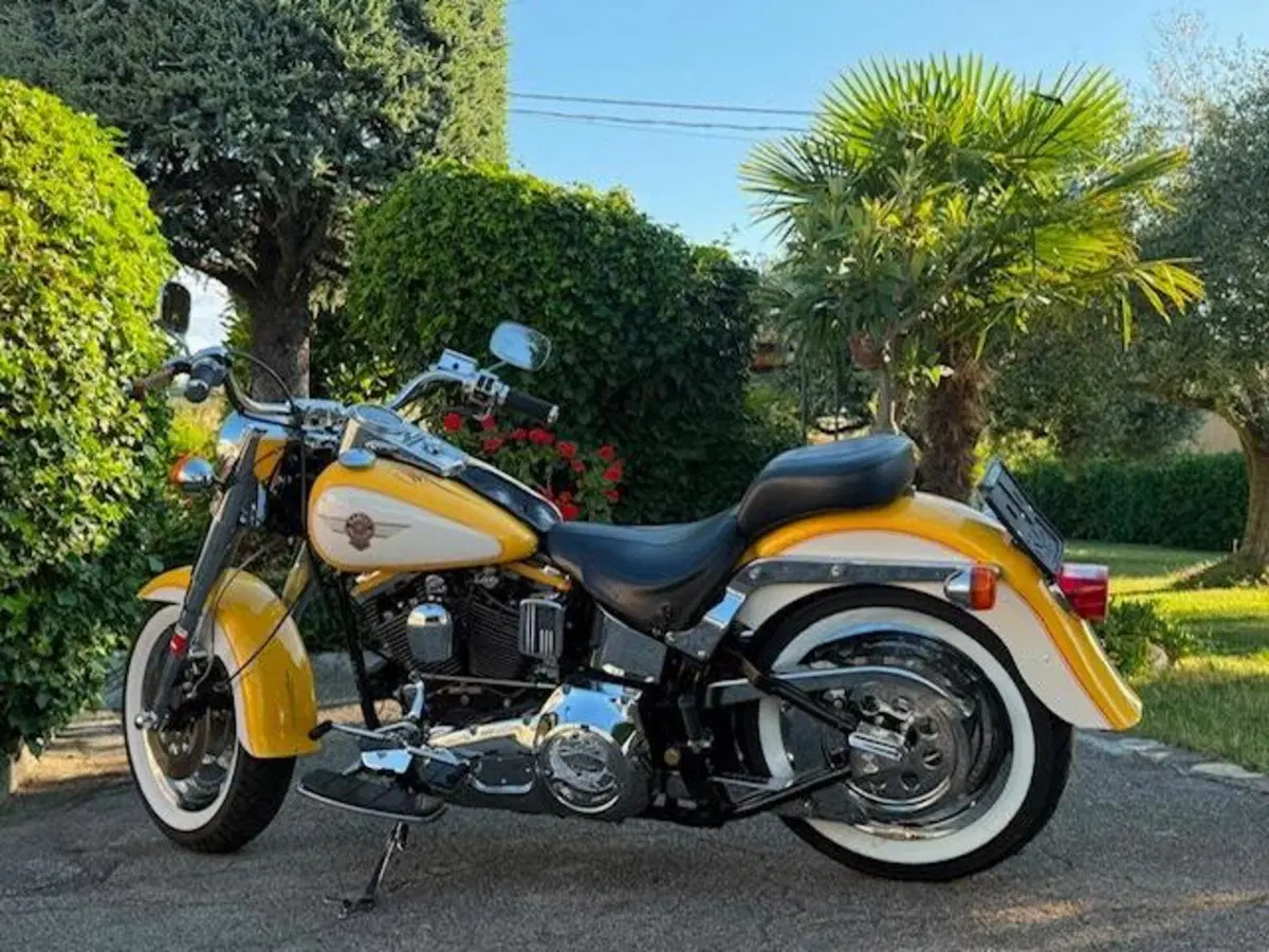 Harley-Davidson softail Fat Boy 1340 (8)