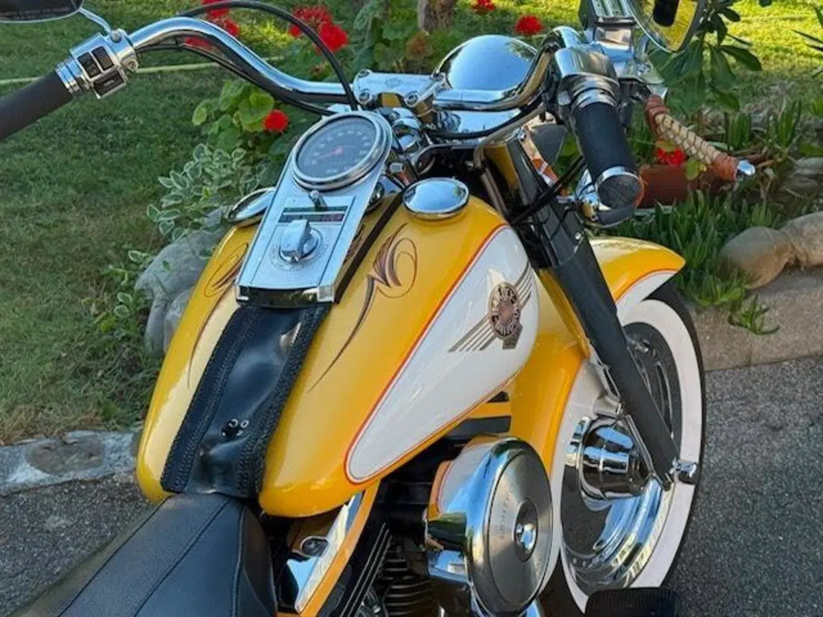 Harley-Davidson softail Fat Boy 1340 (9)
