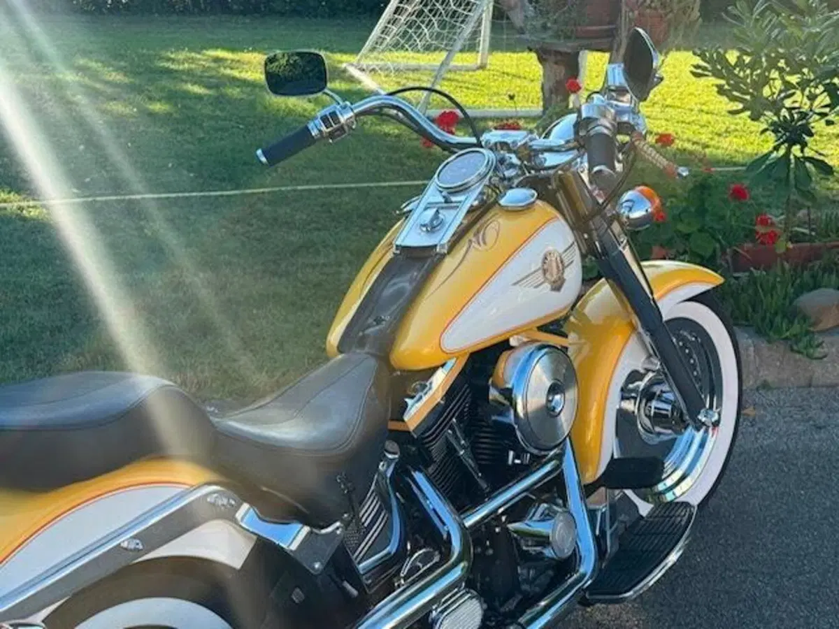 Harley-Davidson softail Fat Boy 1340 (10)