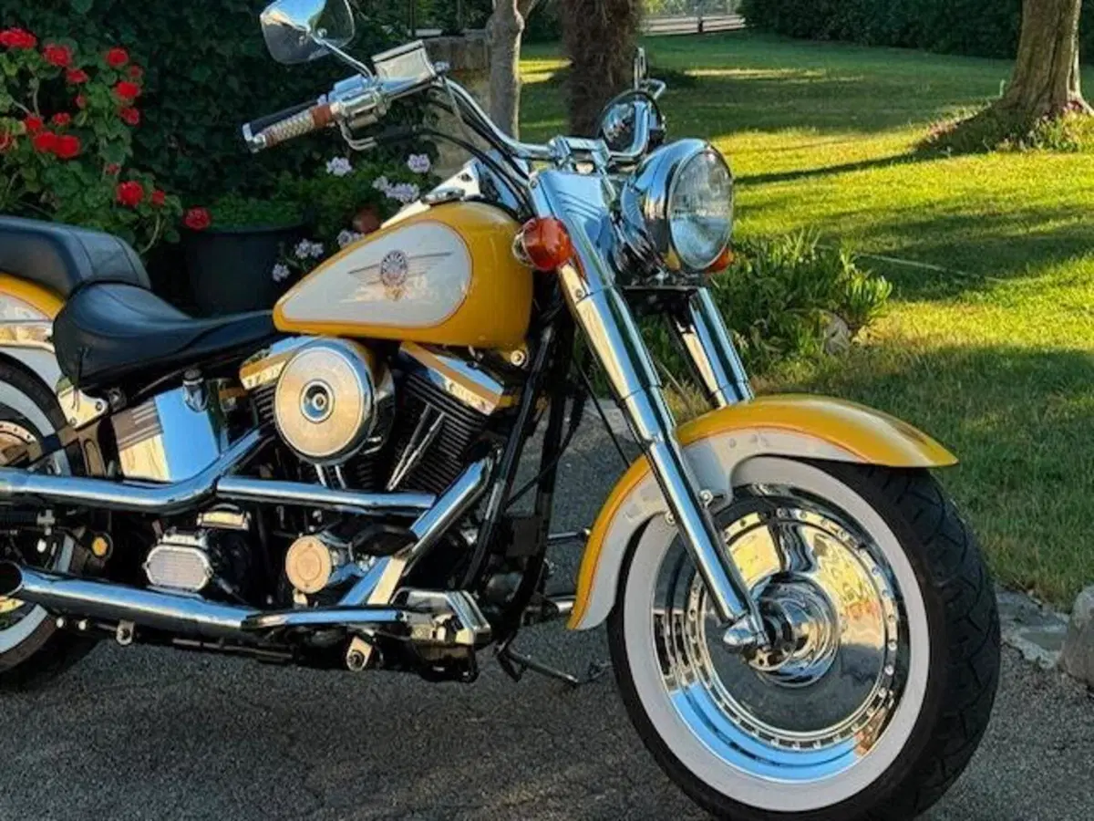 Harley-Davidson softail Fat Boy 1340 (11)