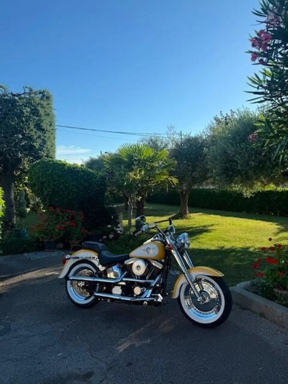 Harley-Davidson softail Fat Boy 1340 (13)