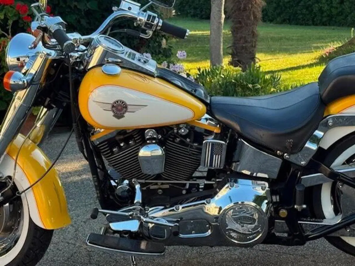 Harley-Davidson softail Fat Boy 1340 (14)