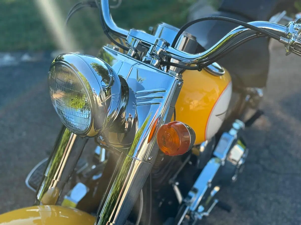 Harley-Davidson softail Fat Boy 1340 (15)