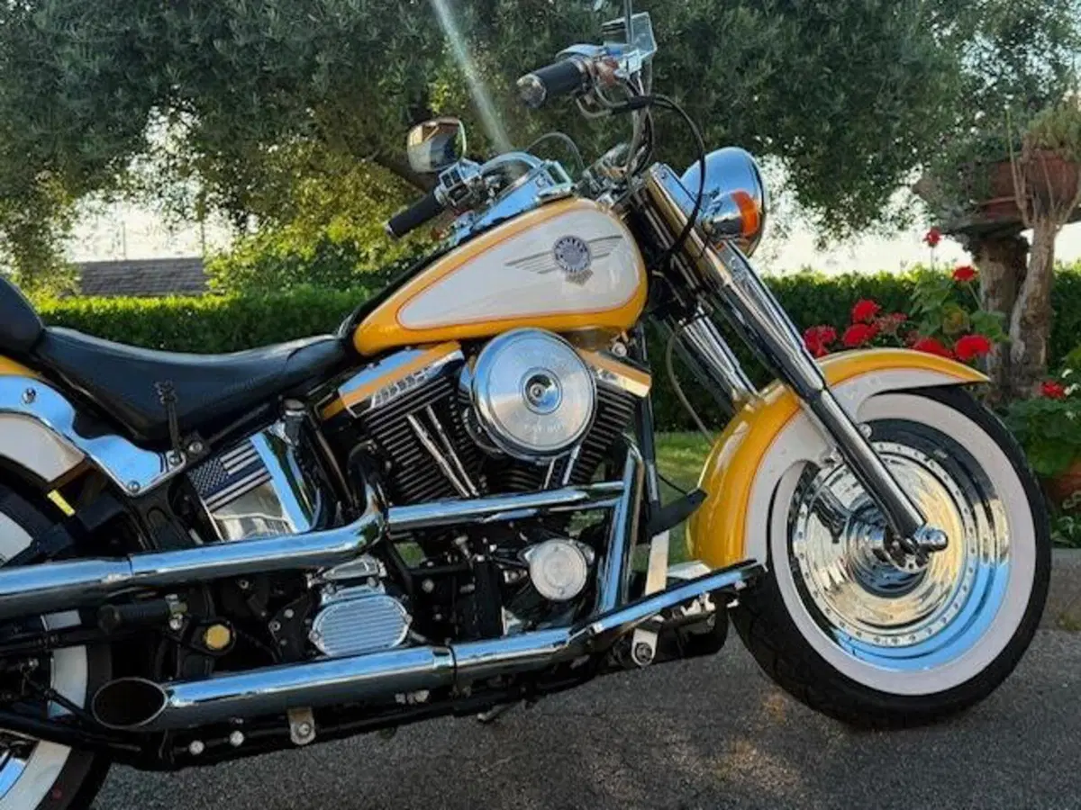 Harley-Davidson softail Fat Boy 1340 (16)