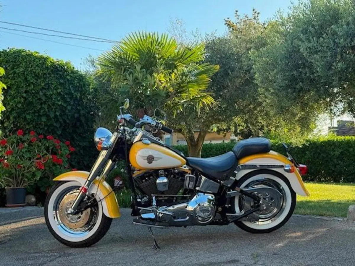 Harley-Davidson softail Fat Boy 1340 (17)
