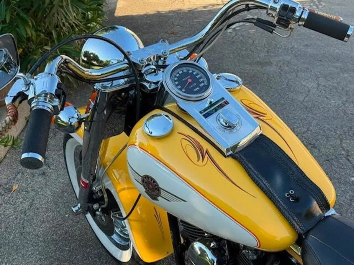 Harley-Davidson softail Fat Boy 1340 (19)