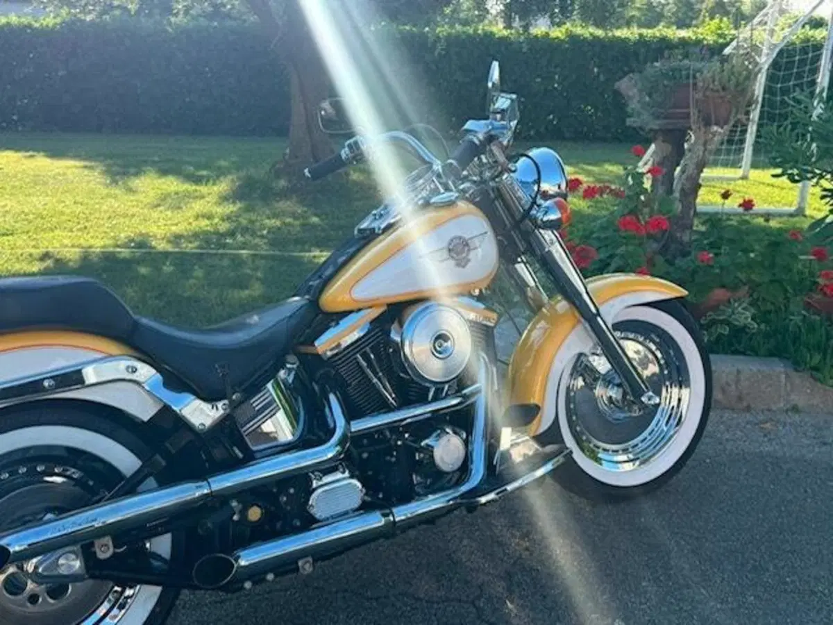 Harley-Davidson softail Fat Boy 1340 (20)