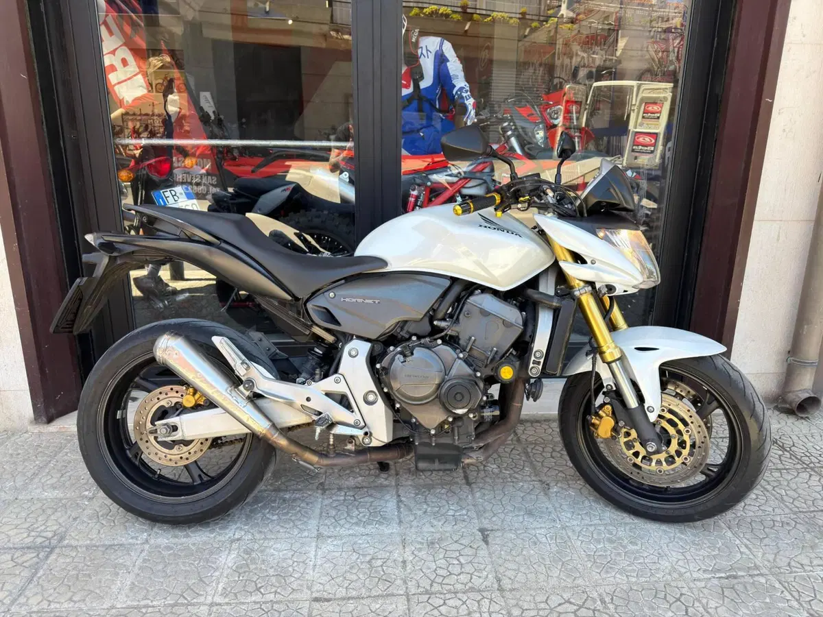 Honda Hornet 600 (2007 - 10)