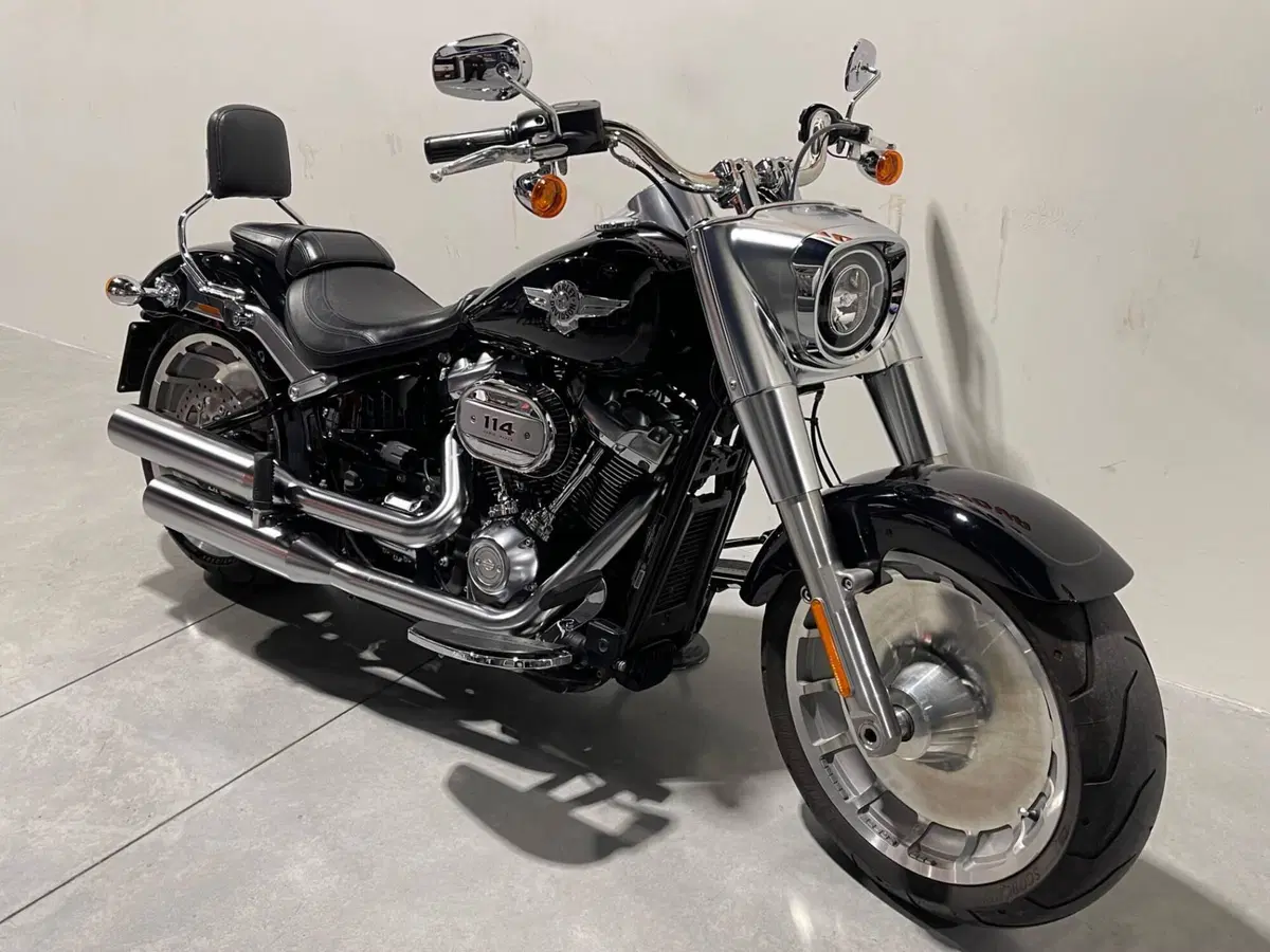 Harley-Davidson 114 Fat Boy (2018 - 20) - FLFBS (2)