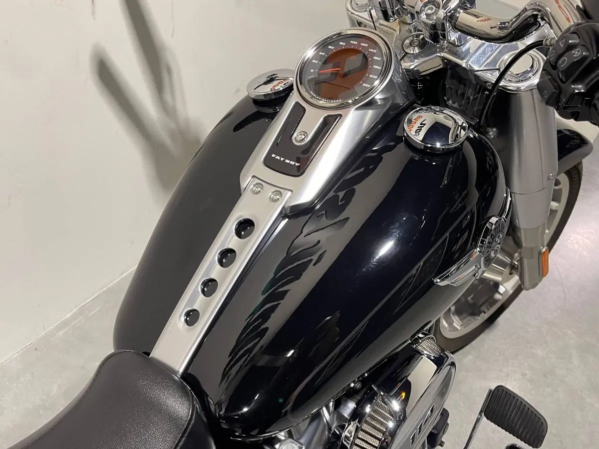 Harley-Davidson 114 Fat Boy (2018 - 20) - FLFBS (6)