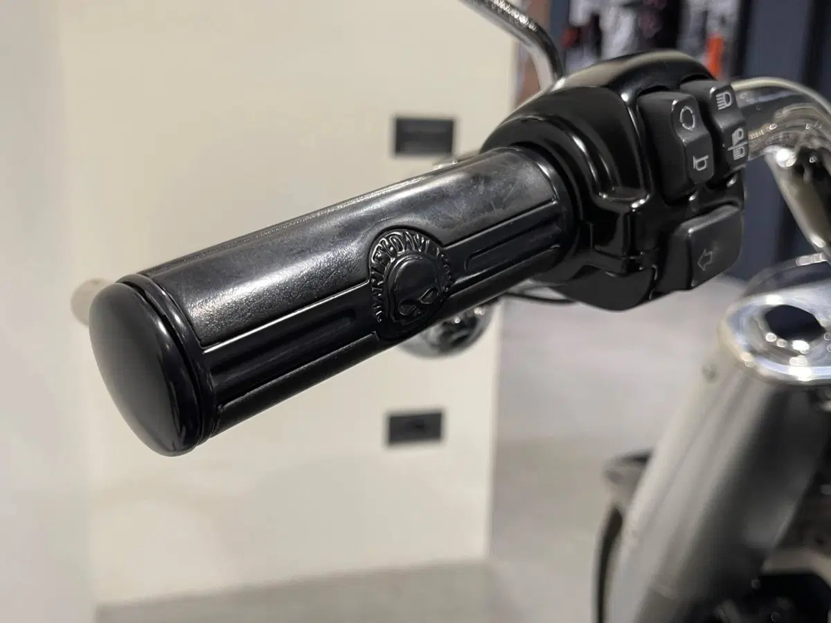 Harley-Davidson 114 Fat Boy (2018 - 20) - FLFBS (7)