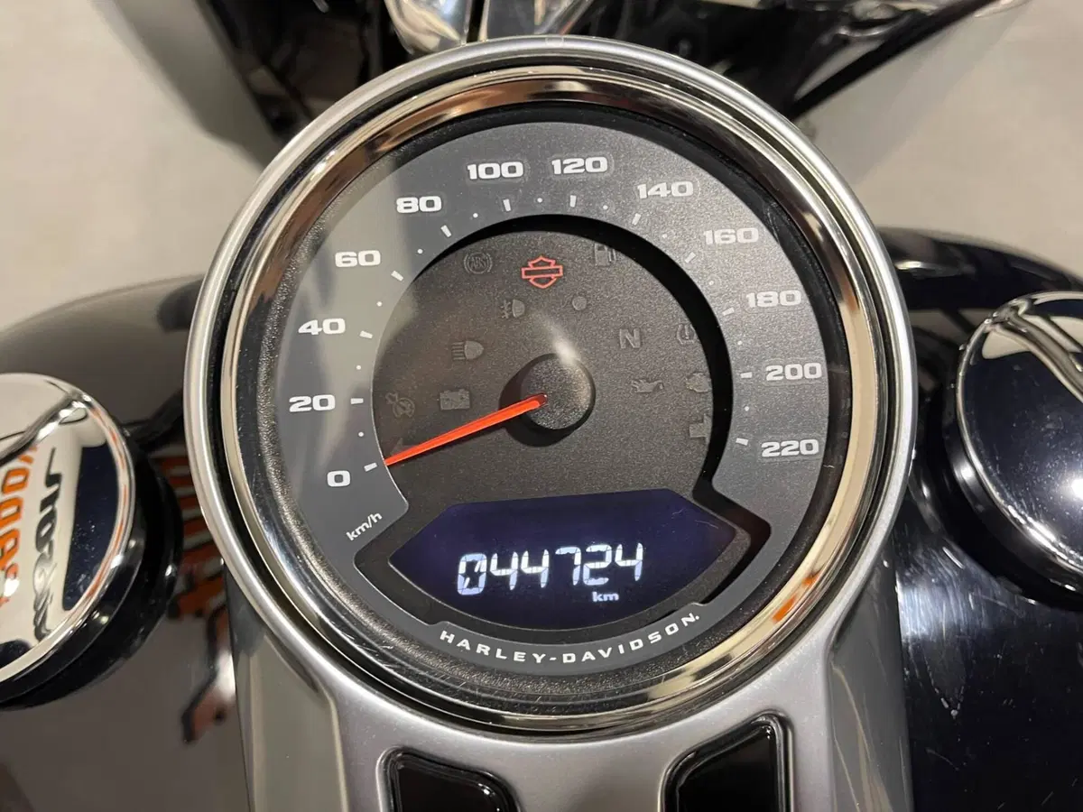 Harley-Davidson 114 Fat Boy (2018 - 20) - FLFBS (8)