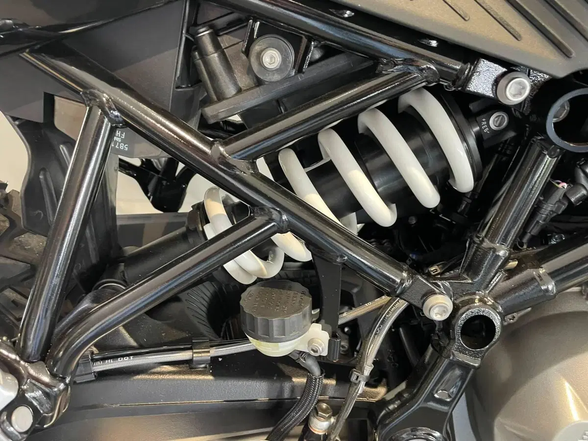 Bmw F 450 GS (2026) (2)