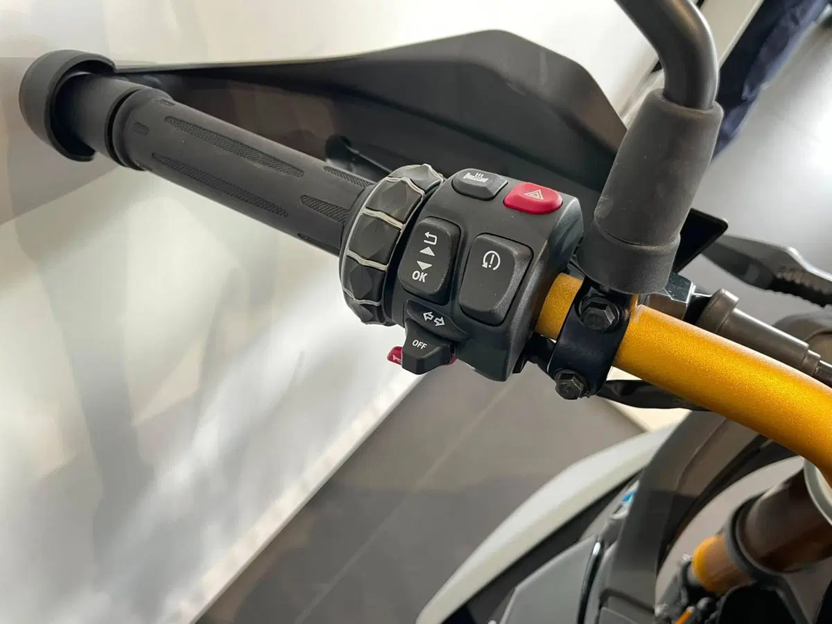 Bmw F 450 GS (2026) (7)