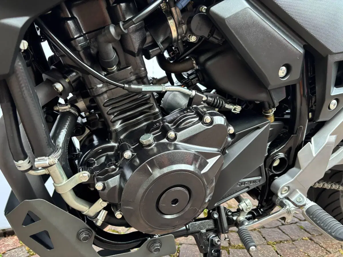 Suzuki V-Strom 250 (2017 - 20) (5)