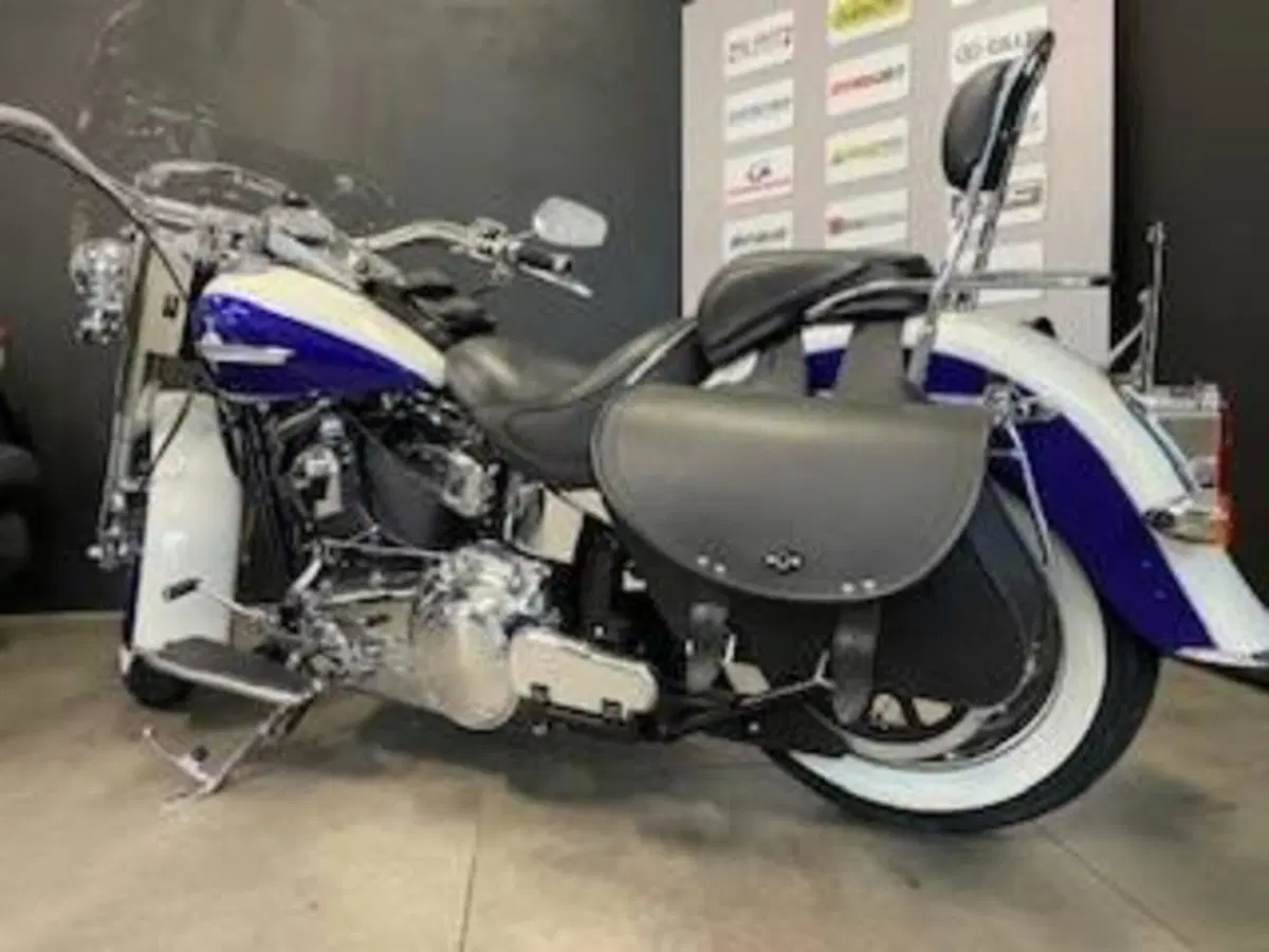 Harley-Davidson 1584 Deluxe (2007 - 08) - FLSTN (7)