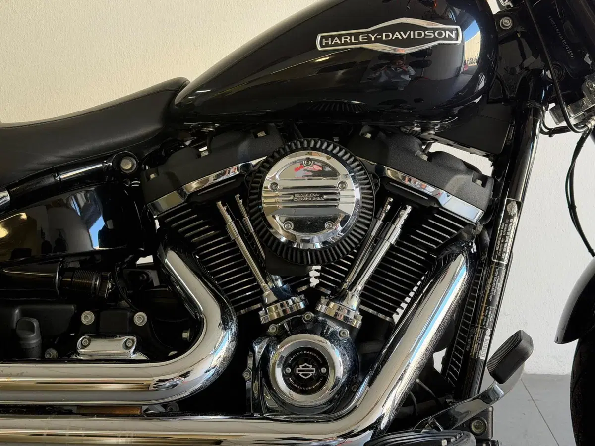 Harley-Davidson 107 Sport Glide (2018 - 20) (5)