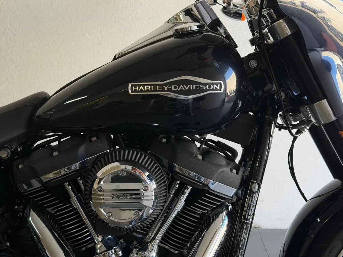 Harley-Davidson 107 Sport Glide (2018 - 20) (6)