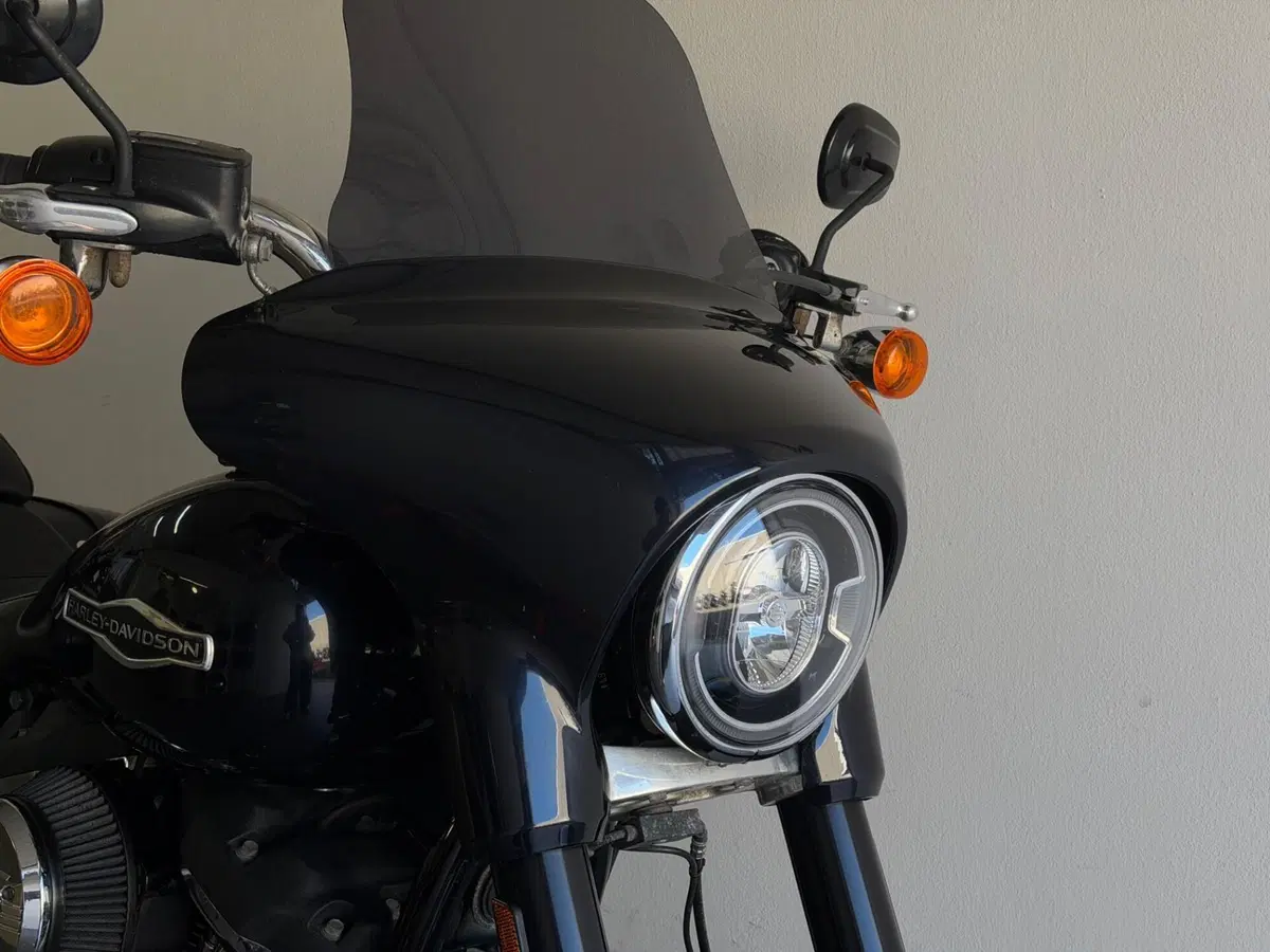 Harley-Davidson 107 Sport Glide (2018 - 20) (2)