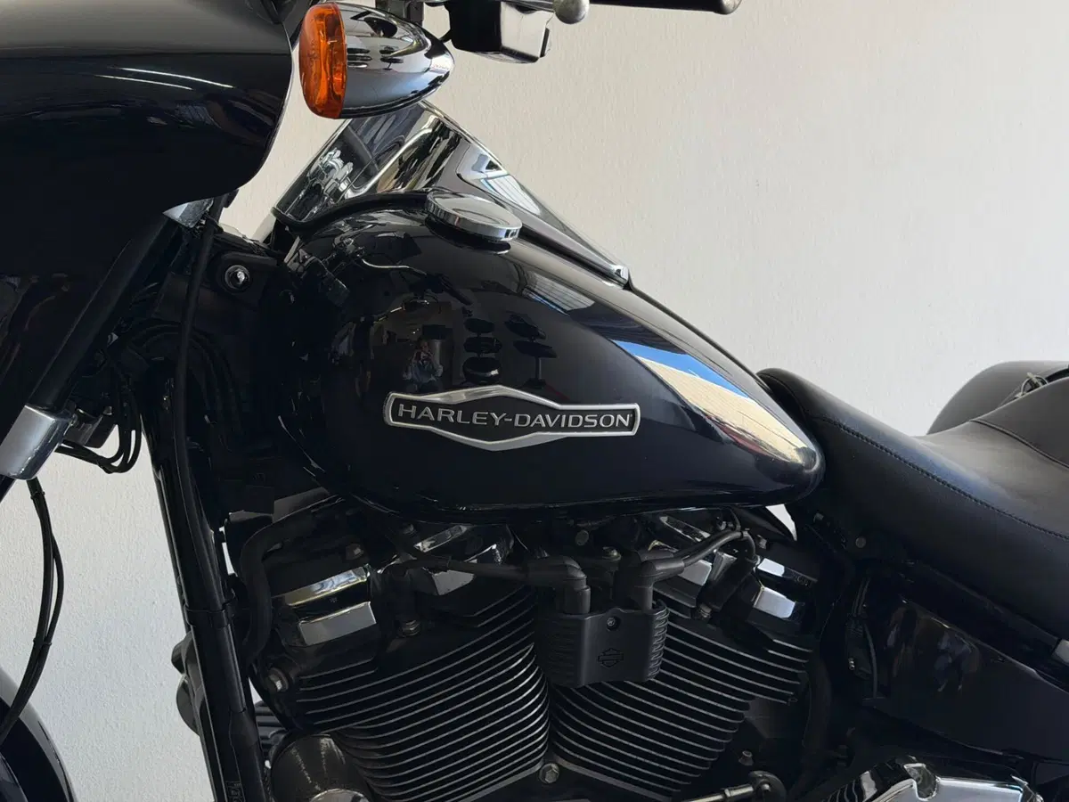 Harley-Davidson 107 Sport Glide (2018 - 20) (7)