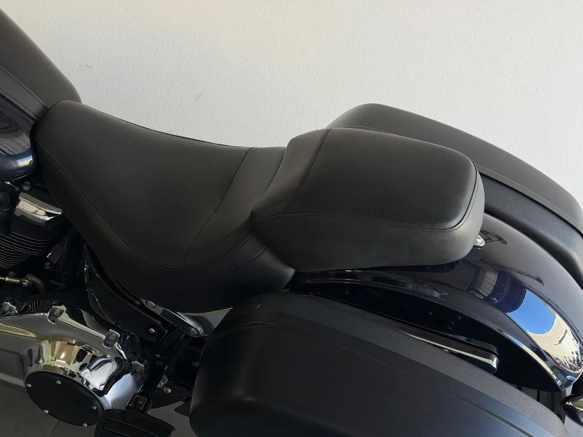 Harley-Davidson 107 Sport Glide (2018 - 20) (8)